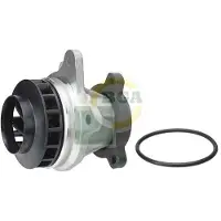 BGA Wasserpumpe CP7313