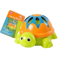 Playgo Turtle Spinning