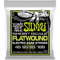 Ernie Ball 2818