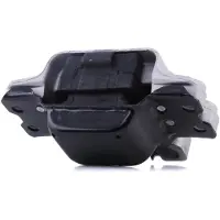 REINHOCH Motorträger RH11-0034 Links