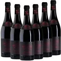 Vitis Metamorfozis VIA MARCHIZULUI Pinot Noir DOC 6-er Pack