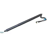 BUGIAD BRD50707 Gasfeder Heckklappendämpfer für BMW X3 (F25)