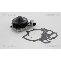 TRISCAN Wasserpumpe 8600 20001