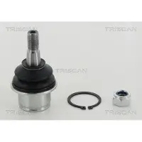 TRISCAN Trag-/Führungsgelenk 8500 80508
