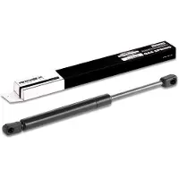 RIDEX Heckklappendämpfer CHRYSLER 219G0303 04589589AA,05065659AA,4589589AA 5064659AA