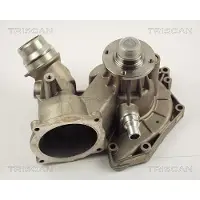 TRISCAN Wasserpumpe 8600 11013