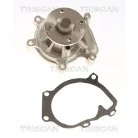 TRISCAN Wasserpumpe 8600 13013