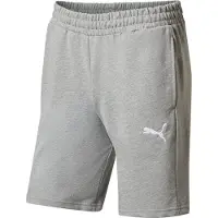 Puma Teamgoal Casuals Shorts medium gray heather-white (33) XL