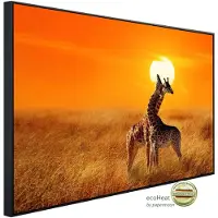 Papermoon Infrarotheizung »EcoHeat - Giraffen gegen Sonnenuntergang«, Matt-Effekt - bunt