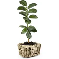 Van der leeden Pflanzkorb Sylter Korb Blumenkorb 49x37x30cm Rattan Garten Drypot Natur Rollen