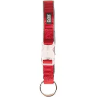 Dog Gone Smart Comet Dog Rechargeable Light Hundehalsband