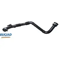 BUGIAD 82466 Turbo Ladeluftschlauch für RENAULT KANGOO Express (FW0/1) KANGOO / GRAND KANGOO (KW0/1) KANGOO BE BOP (KW0/1)