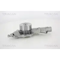 TRISCAN Wasserpumpe 8600 23046