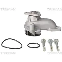 TRISCAN Wasserpumpe [Hersteller-Nr. 860043013] für Kia, Hyundai