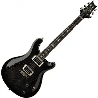 Paul Reed Smith PRS SE Hollowbody Standard Hundehaar Smokeburst