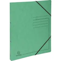 Exacompta 542553E 10x Ringhefter 2 Ringe 15mm, Colorspan-Karton bedruckt - A4 - Grün