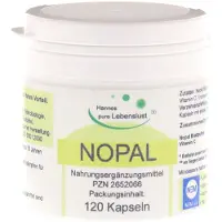 G & M Naturwaren Import GmbH & Co. KG Nopal Kaktus Vegi Kapseln 120 St