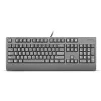Lenovo Preferred Pro II, Volle Größe (100%), Kabelgebunden, USB, Plunger key switch, Schwarz