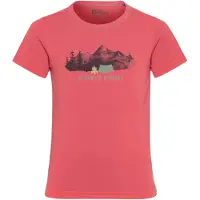 Jack Wolfskin Hiking Graphic Kurzarm-t-shirt