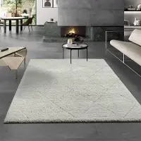 OTTO Teppich "Bahar Shaggy", beige (creme), B:160cm H:30mm L:230cm, Polypropylen, Teppiche, Teppich