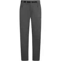 Icebreaker Merino Elevation Stretch Hosen Grau 36 Mann Grau 36