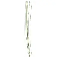 Creativ Company 610350, Blumendraht, Grün, 20 Stück(e), 300 mm, 0,6 mm
