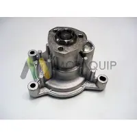 MOTAQUIP Wasserpumpe LVWP964