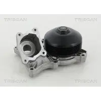 TRISCAN Wasserpumpe 8600 11038