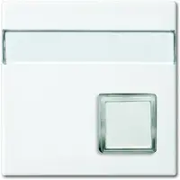 Busch-Jaeger Zentralscheibe alpinws 1571 CN-914 2CKA001582A0397