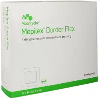 Molnlycke Health Care Mepilex Border Flex Schaumverb.haft.15x1 10 St