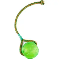 Starmark Swing & Fling Kauball