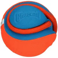 Chuckit! Rope Fetch Hundespielzeug