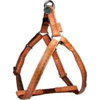 MACLEATHER Hundegeschirr, Kunstleder, Braun, 15mm x 35-60 cm, mit Klickverschluss und silbernem Medaillon