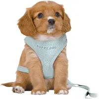 Trixie Junior Welpen-Softgeschirr mit Leine, M–L: 36–50 cm / 10 mm, 2,00 m, mint