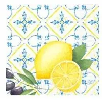 Duni Serviet 33x33 cm 3-lags Mediterrian,10 pk x 50 stk/krt