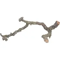 Trixie Tronchos, Korkäste, 1 kg