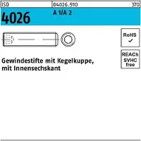 F. REYHER Nchfg. GmbH & Co. KG Gewindestift ISO 4026 Kegelkuppe/Innen-6-kant M 3 x 10 A 1/A 2