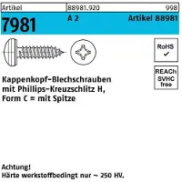 Hörger & Geßler Kappenkopfblechschraube R 88981 Kreuzschlitz-PH 3,9 x 9,5 -H A 2