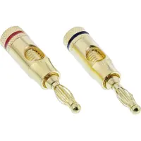 Intos Bananenstecker