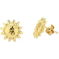Radiant Damenohrringe Ry000155 Edelstahl 1 Cm