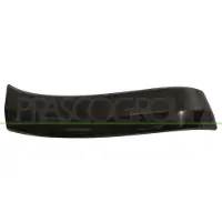 PRASCO Zier-/ Schutzleisten 5703-08-8179377P, Links