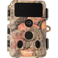 Caruba Wildlife Kamera Elch 4K