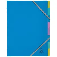 Exacompta 56190E 8x Fächermappe für A4 aus Polypropylen mit Gummizug, 3 Klappen und 8 Fächern, Forever Young - Farben sortiert