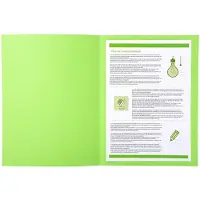 Exacompta Forever Aktendeckel DIN A4 Grün Manila Recycelt 100% 220 g/m2 250 Stück