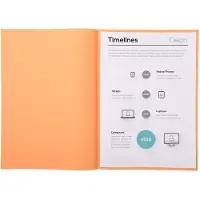 Exacompta Super Aktendeckel DIN A4 Orange Pappkarton 60 g/m2 1000 Stück