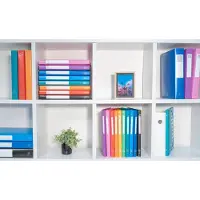 Exacompta 51490E 20x Ringbuch aus PP 700μ mit 4 Ringen 20mm, Rücken 30mm, blickdicht, DIN A4 MAXI - Farben sortiert