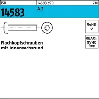 Hörger & Geßler Flachkopfschraube ISO 14583 m.Innensechsrund M 2,5 x 16 A 2