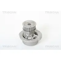 TRISCAN Wasserpumpe 8600 24003