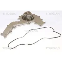 TRISCAN Wasserpumpe 8600 29092