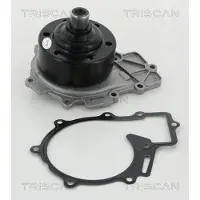 TRISCAN Wasserpumpe 8600 23071